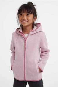 Ropa De Abrigo H&M Encapuchado Fleece Jacket Niños Azules Claro | 945231AXM