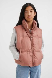 Ropa De Abrigo H&M Puffer Vest Niños Beige Oscuro Rosas | 981034IWN