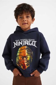 Sudadera Con Capucha H&M Printed Niños Azules Oscuro | 012976NSV