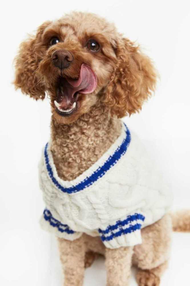 Equipo H&M Cable-knit dog jumper Mujer Creme | 562908QBH