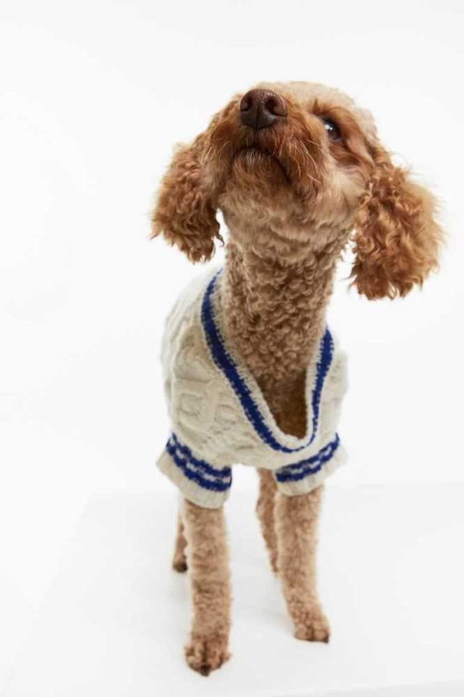 Equipo H&M Cable-knit dog jumper Mujer Creme | 562908QBH