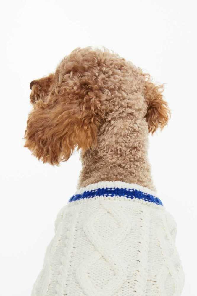 Equipo H&M Cable-knit dog jumper Mujer Creme | 562908QBH