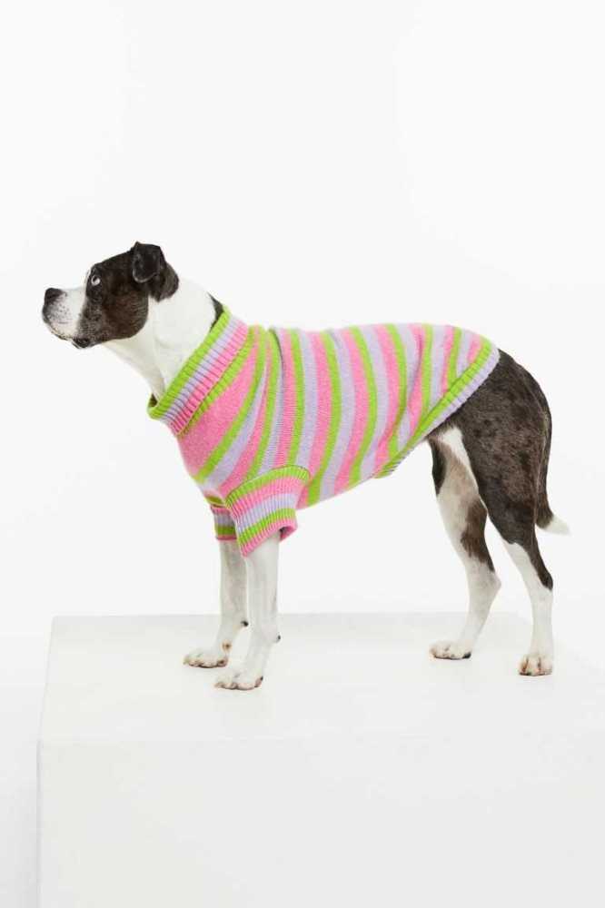 Equipo H&M Jacquard-knit Dog Sueter Mujer Rosas | 847920CBP