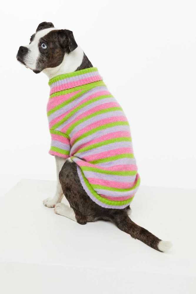 Equipo H&M Jacquard-knit Dog Sueter Mujer Rosas | 847920CBP