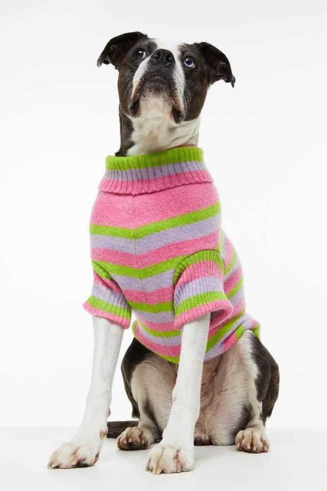 Equipo H&M Jacquard-knit Dog Sueter Mujer Rosas | 847920CBP