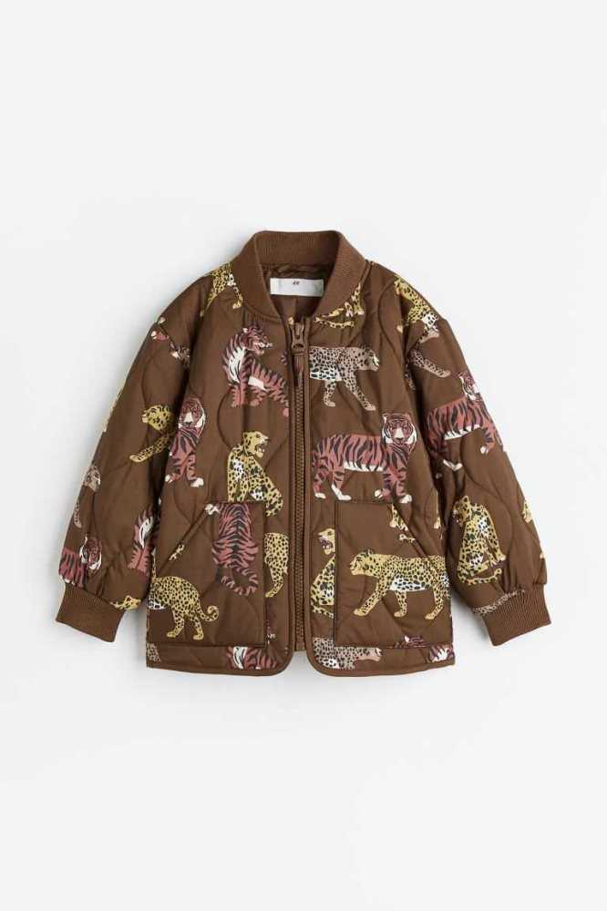 Ropa De Abrigo H&M Acolchado Jacket Niños Marrom Oscuro | 657124QHD