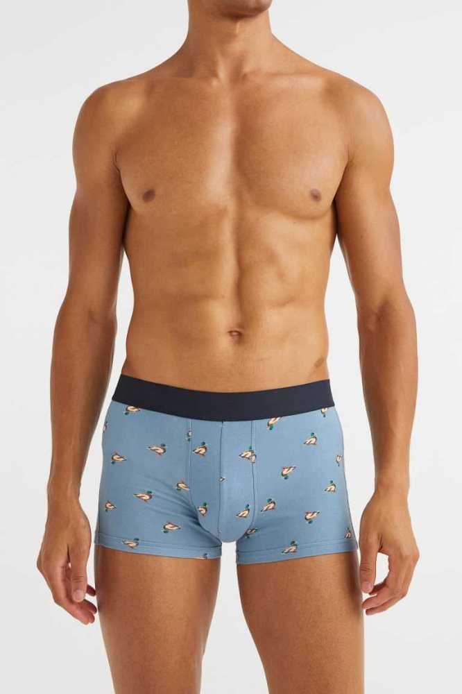 Ropa Interior H&M 3-pack Algodon Boxer Shorts Hombre Azules | 493028OJH