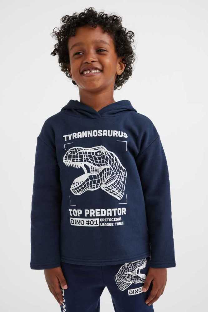 Sudadera Con Capucha H&M Printed Niños Azules | 428561TLG