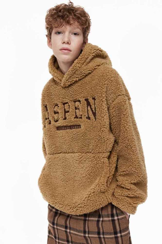 Sudadera Con Capucha H&M Teddy Niños Beige Oscuro | 406582EMH