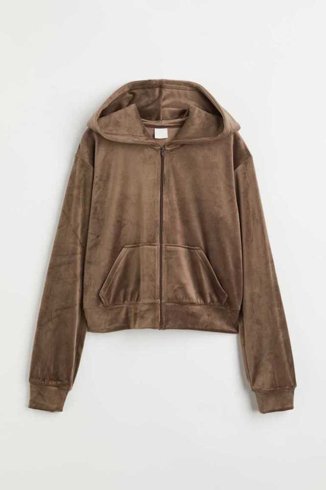 Sudadera Con Capucha H&M Velour Encapuchado Jacket Mujer Morados Claro | 680719BCX